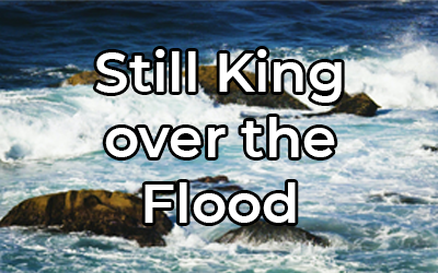 Still King over the Flood