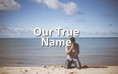 Our True Name